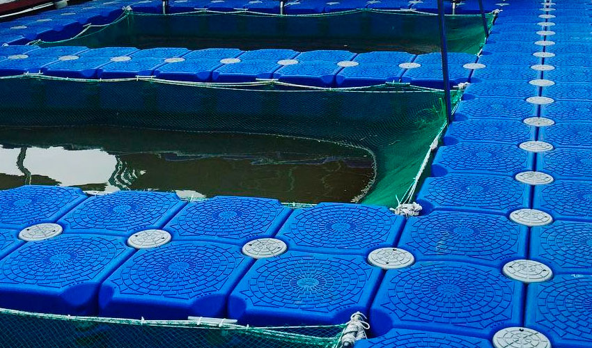 Piscifactorías - Granjas acuícolas
